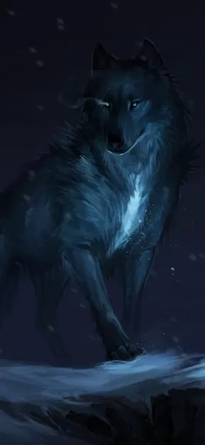  Blue Wolf in Snowy Night Wallpaper