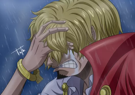 Sanji one piece anime wallpapers